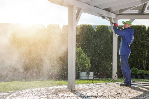 Best Roof Washing  in Rock Springs, WY